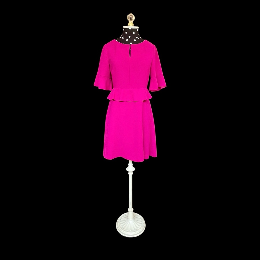 Banana Republic Dress Ruffled Sleeve and Waist